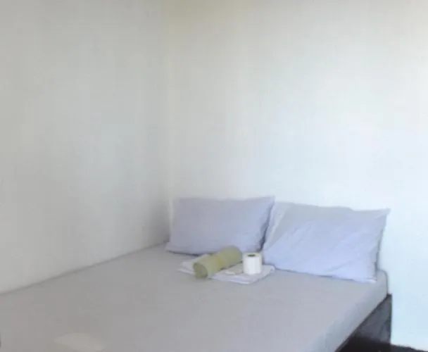Scott Camotes House リゾート San Francisco