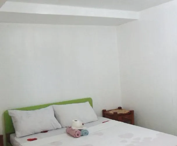 Scott Camotes House リゾート San Francisco